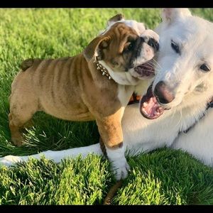 hey guys !I lowered a lot of my items, take a look